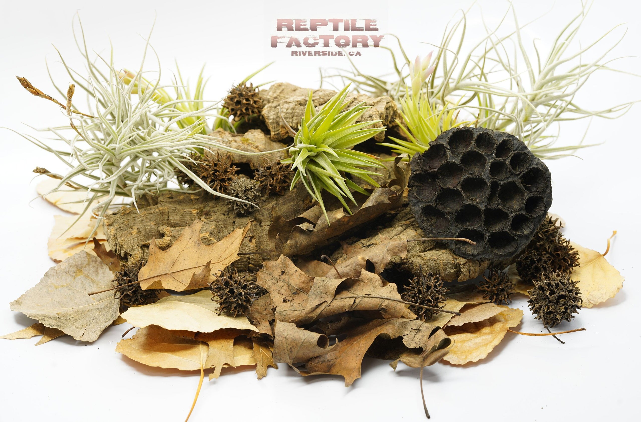 Terrarium Decor Mix #4 | REPTILE FACTORY SOCAL - Reptile Terrarium Decoration Themes